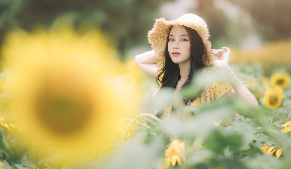Hot girl ĐH Thương mại gây thương nhớ với bộ ảnh bên hoa hướng dương - 7