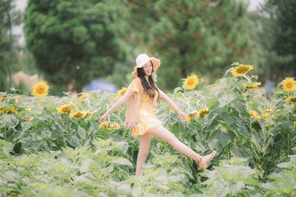 Hot girl ĐH Thương mại gây thương nhớ với bộ ảnh bên hoa hướng dương - 8