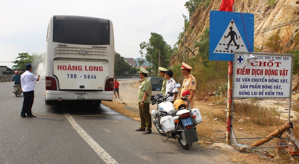 Dịch tả lợn châu Phi sát nách, Phú Yên họp khẩn lên phương án đối phó - 2 Dịch tả lợn châu Phi sát nách, Phú Yên họp khẩn lên phương án đối phó - 2