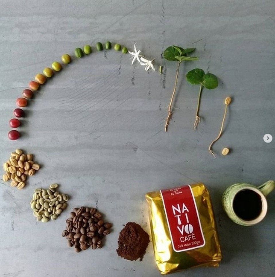 Những sự thật khó tin cho đến khi bạn tận mắt nhìn thấy! - 9 Những sự thật khó tin cho đến khi bạn tận mắt nhìn thấy! - 9