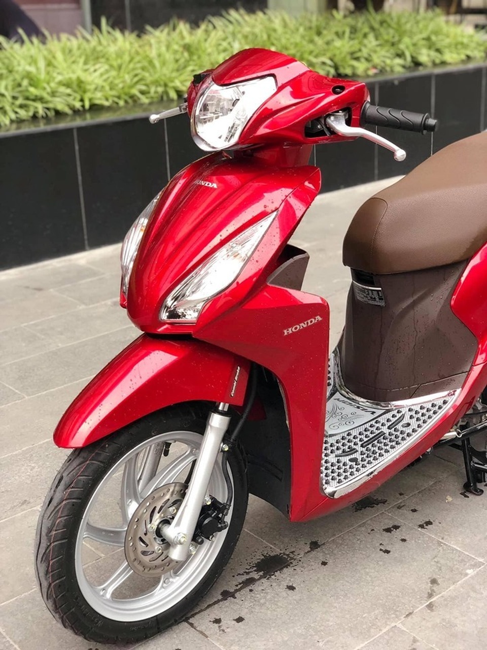Honda Vision biển ngũ quý 5 giá gần 200 triệu gây choáng - 3 Honda Vision biển ngũ quý 5 giá gần 200 triệu gây choáng - 3