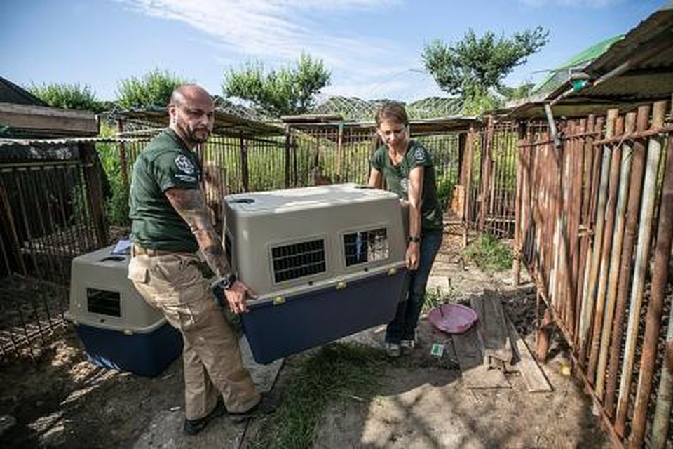 Chợ thịt chó nổi tiếng chính thức đóng cửa - 3