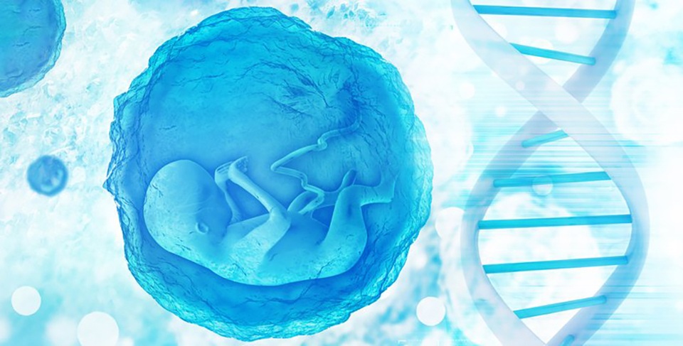Những em bé được chỉnh sửa gene đầu tiên có nguy cơ tử vong sớm - 1 Những em bé được chỉnh sửa gene đầu tiên có nguy cơ tử vong sớm - 1