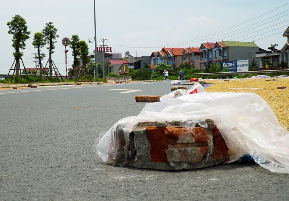 Cảnh phơi thóc chiếm phần lớn lòng đường ở Hà Nội - 5 Cảnh phơi thóc chiếm phần lớn lòng đường ở Hà Nội - 5