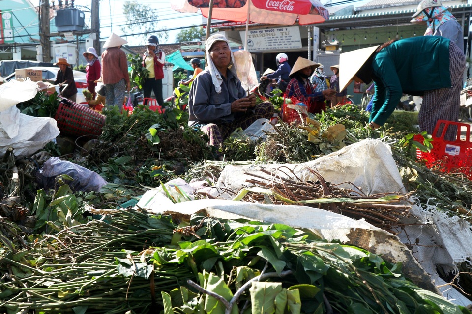 Chợ lá mùng 5 ở Hội An Chợ lá mùng 5 ở Hội An