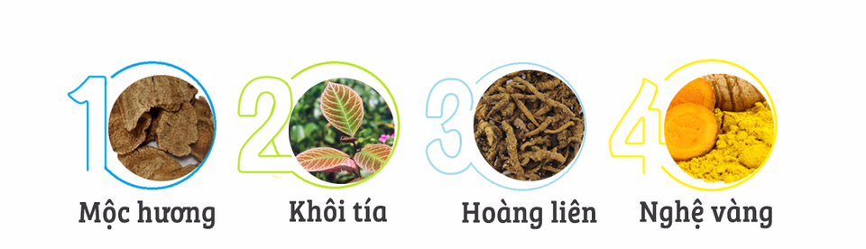 TPBVSK Dạ Tràng An Khang – Niềm tin vững chắc cho người bị đau dạ dày - 1 TPBVSK Dạ Tràng An Khang – Niềm tin vững chắc cho người bị đau dạ dày - 1