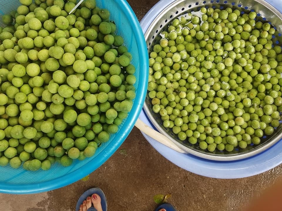 Sấu mất mùa mà ngày vẫn bán 2 tạ, thu về hơn 5 triệu đồng - 1 Sấu mất mùa mà ngày vẫn bán 2 tạ, thu về hơn 5 triệu đồng - 1