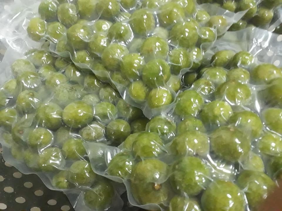 Sấu mất mùa mà ngày vẫn bán 2 tạ, thu về hơn 5 triệu đồng - 3 Sấu mất mùa mà ngày vẫn bán 2 tạ, thu về hơn 5 triệu đồng - 3