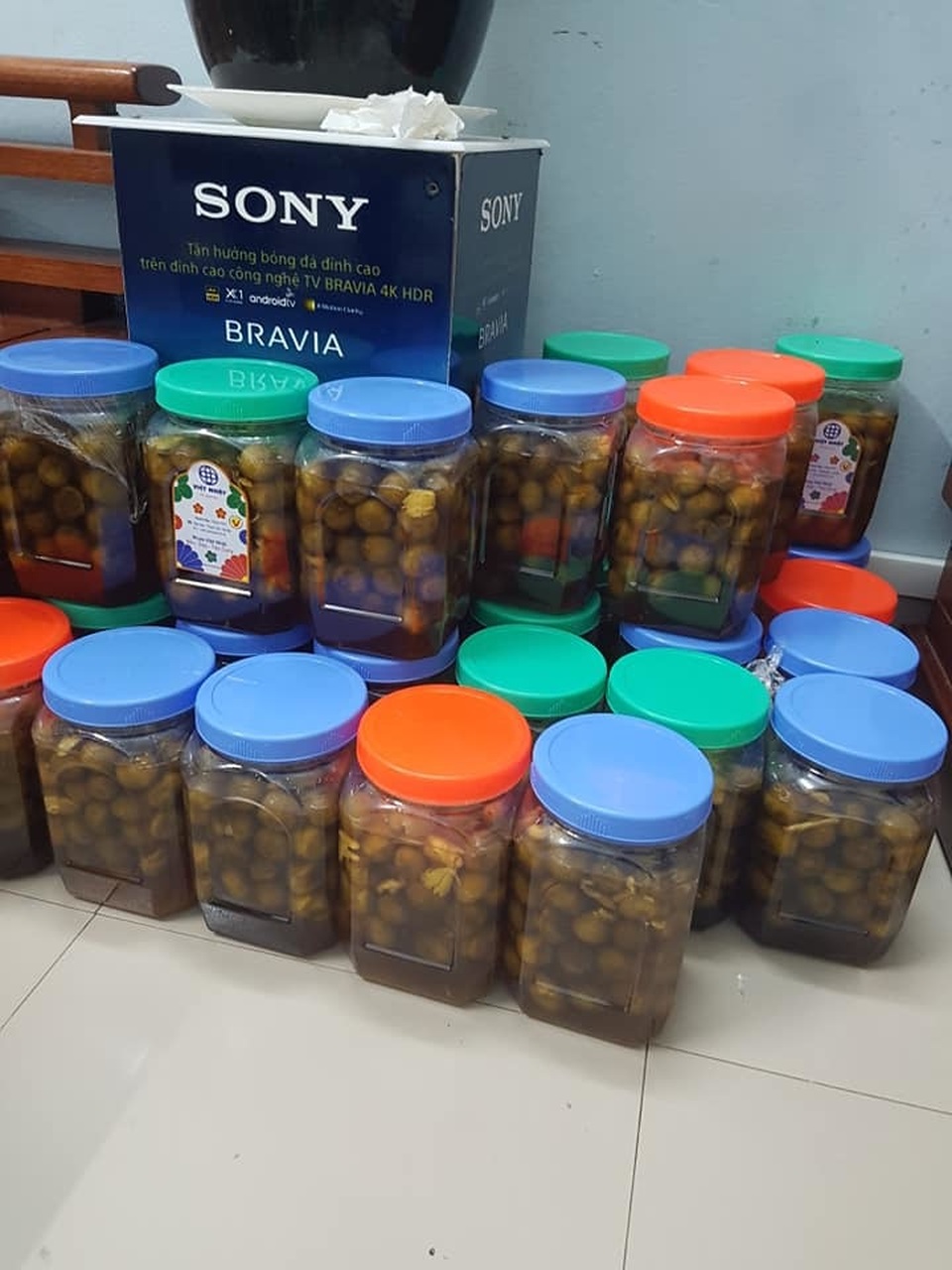 Sấu mất mùa mà ngày vẫn bán 2 tạ, thu về hơn 5 triệu đồng - 5 Sấu mất mùa mà ngày vẫn bán 2 tạ, thu về hơn 5 triệu đồng - 5