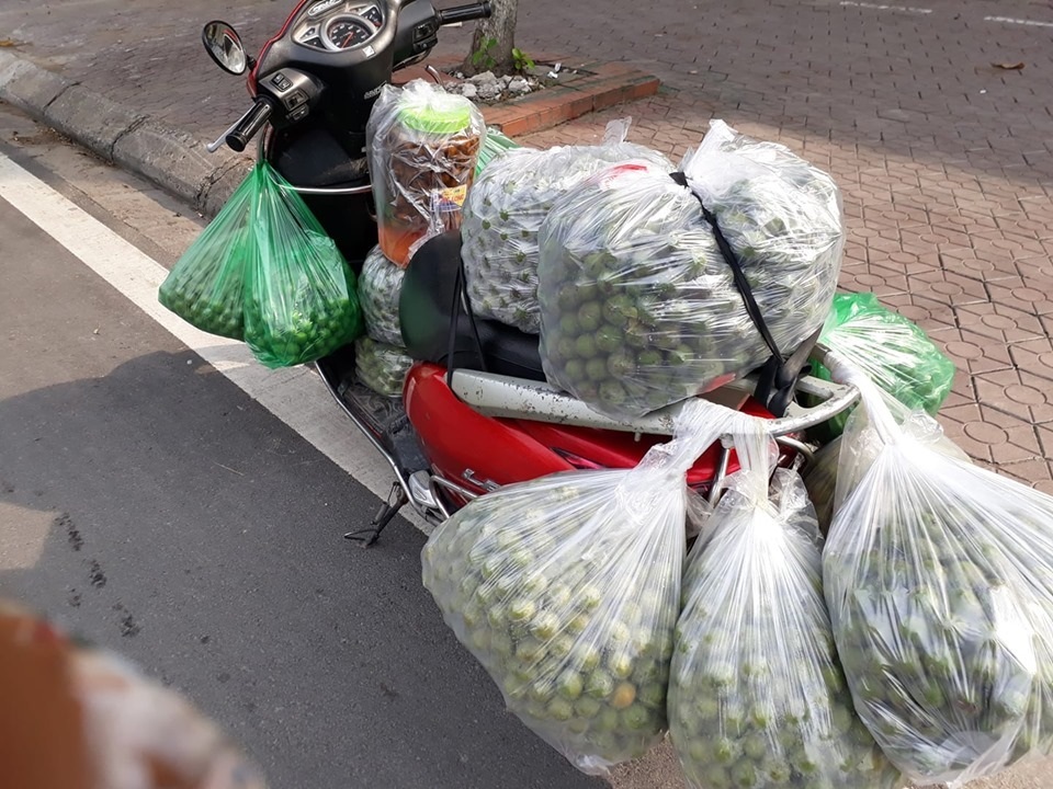 Sấu mất mùa mà ngày vẫn bán 2 tạ, thu về hơn 5 triệu đồng - 2 Sấu mất mùa mà ngày vẫn bán 2 tạ, thu về hơn 5 triệu đồng - 2