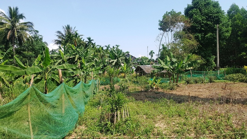 Tỉnh chỉ đạo xử lý vụ thủy điện nợ người dân 22 tỷ đồng - 2 Tỉnh chỉ đạo xử lý vụ thủy điện nợ người dân 22 tỷ đồng - 2
