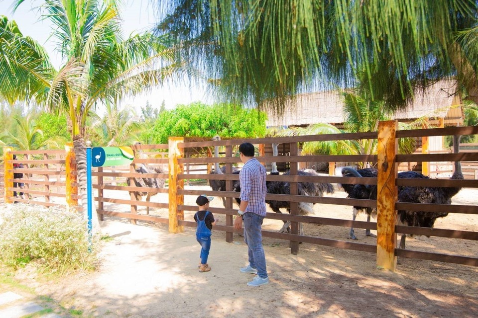 FLC Hotels Resorts: Hành trình “nắm tay con đi khắp muôn nơi” - 4 FLC Hotels Resorts: Hành trình “nắm tay con đi khắp muôn nơi” - 4