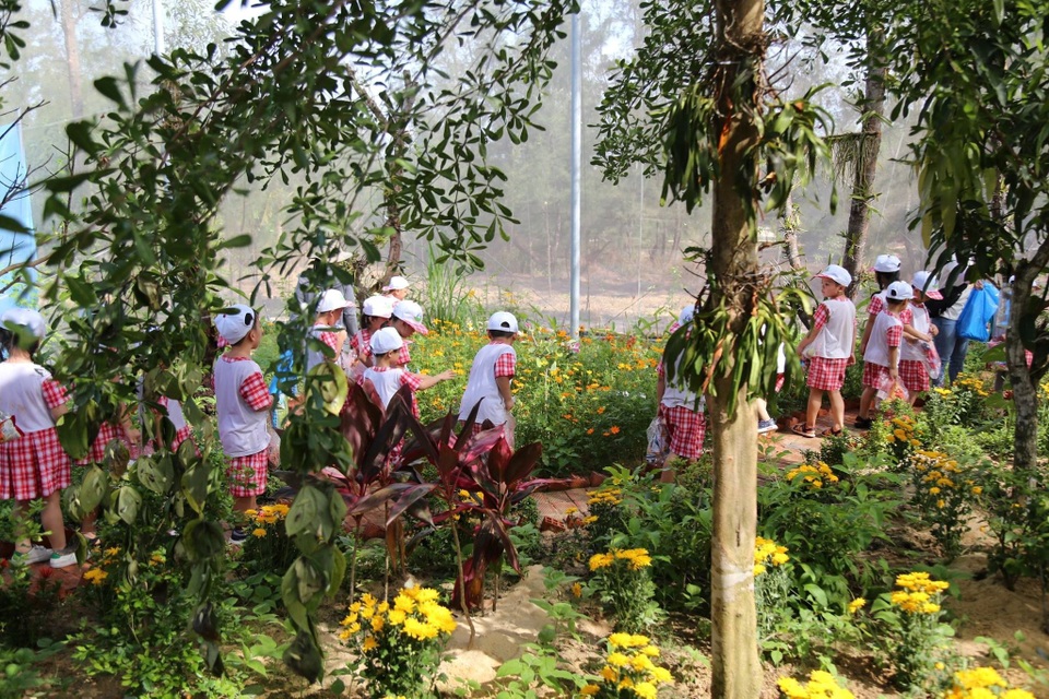 FLC Hotels Resorts: Hành trình “nắm tay con đi khắp muôn nơi” - 5 FLC Hotels Resorts: Hành trình “nắm tay con đi khắp muôn nơi” - 5