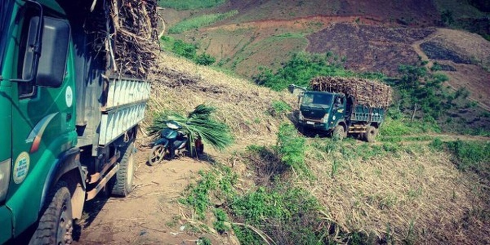 Không có biện pháp bảo vệ ngành mía đường, hàng triệu lao động, hộ dân có nguy cơ tái nghèo - 3 Không có biện pháp bảo vệ ngành mía đường, hàng triệu lao động, hộ dân có nguy cơ tái nghèo - 3