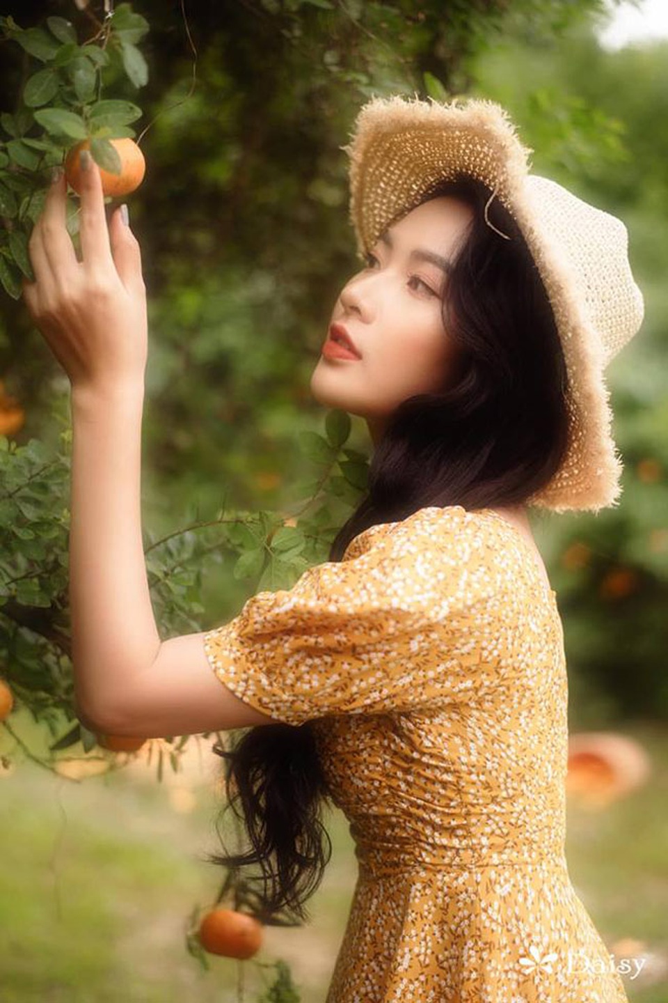 Cô gái Hải Phòng sắc nước hương trời, đẹp như thần tiên tỷ tỷ Lưu Diệc Phi - 14 Cô gái Hải Phòng sắc nước hương trời, đẹp như thần tiên tỷ tỷ Lưu Diệc Phi - 14
