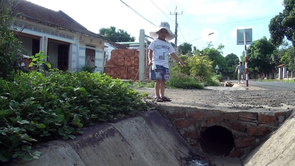 Sởn gai ốc với loại côn trùng lạ “tấn công” người dân - 2 Sởn gai ốc với loại côn trùng lạ “tấn công” người dân - 2