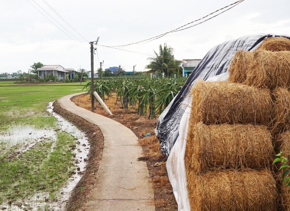 Giả danh nhân viên ngành điện bán dây điện rởm - 1