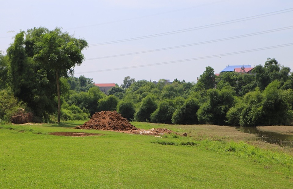 Lợn chết bị vứt bừa, bốc mùi nồng nặc ở xã ngoại thành Hà Nội - 1 Lợn chết bị vứt bừa, bốc mùi nồng nặc ở xã ngoại thành Hà Nội - 1
