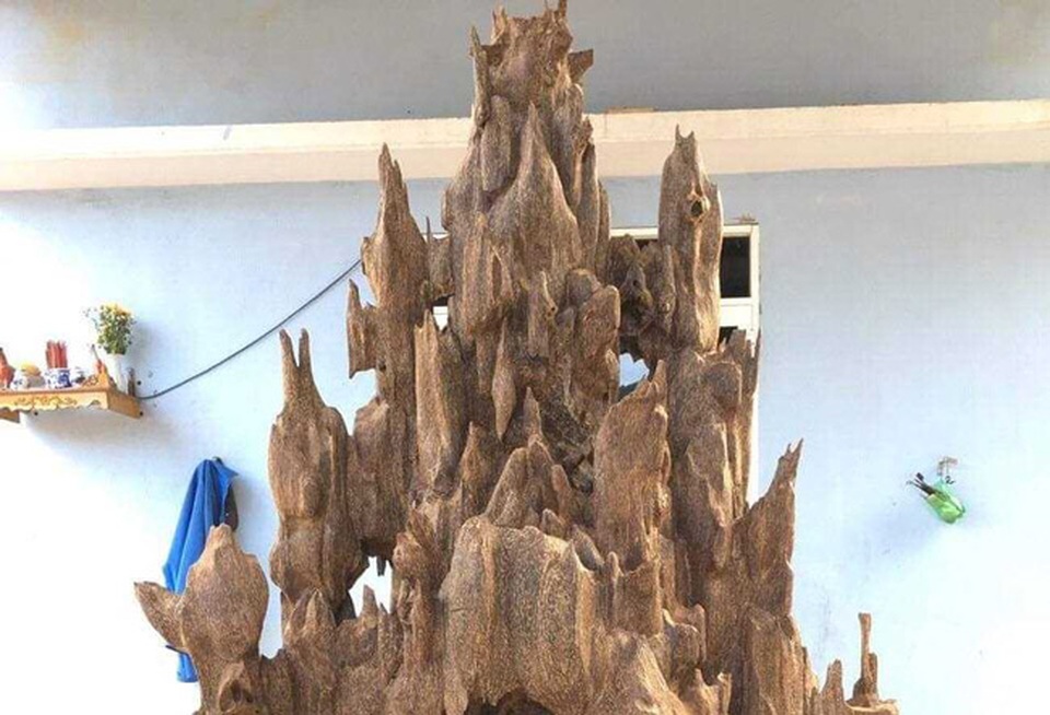 Lặn lội hơn 20 năm, đại gia Hà thành tốn hàng đống tiền để có bộ sưu tập từ gỗ trầm lũa - 11 Lặn lội hơn 20 năm, đại gia Hà thành tốn hàng đống tiền để có bộ sưu tập từ gỗ trầm lũa - 11