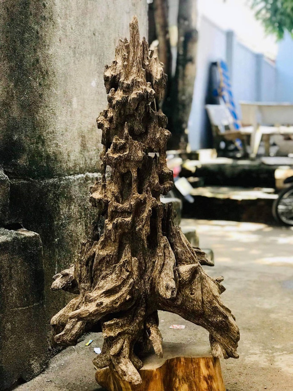 Lặn lội hơn 20 năm, đại gia Hà thành tốn hàng đống tiền để có bộ sưu tập từ gỗ trầm lũa - 4 Lặn lội hơn 20 năm, đại gia Hà thành tốn hàng đống tiền để có bộ sưu tập từ gỗ trầm lũa - 4
