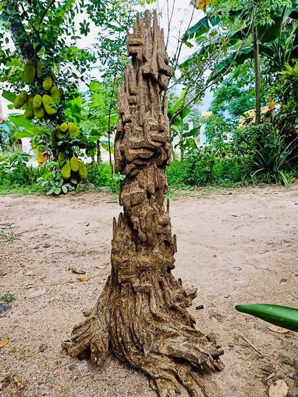 Lặn lội hơn 20 năm, đại gia Hà thành tốn hàng đống tiền để có bộ sưu tập từ gỗ trầm lũa - 5 Lặn lội hơn 20 năm, đại gia Hà thành tốn hàng đống tiền để có bộ sưu tập từ gỗ trầm lũa - 5