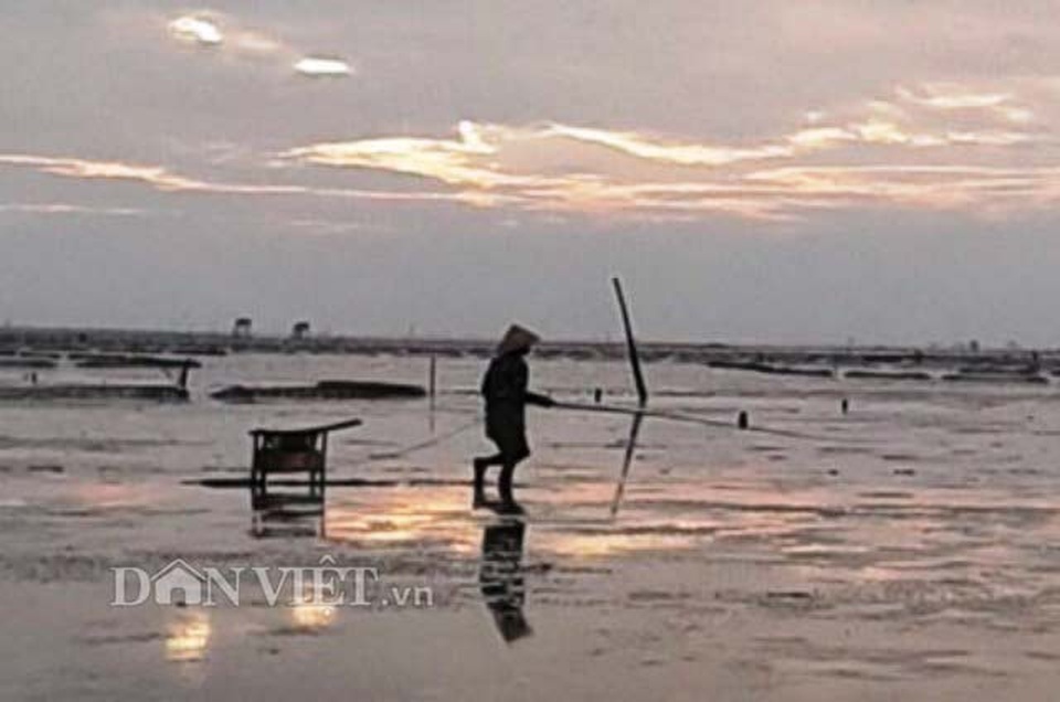 Độc lạ: Không cần mồi, loài cá kỳ lạ này vẫn phi vào giỏ ầm ầm - 1 Độc lạ: Không cần mồi, loài cá kỳ lạ này vẫn phi vào giỏ ầm ầm - 1