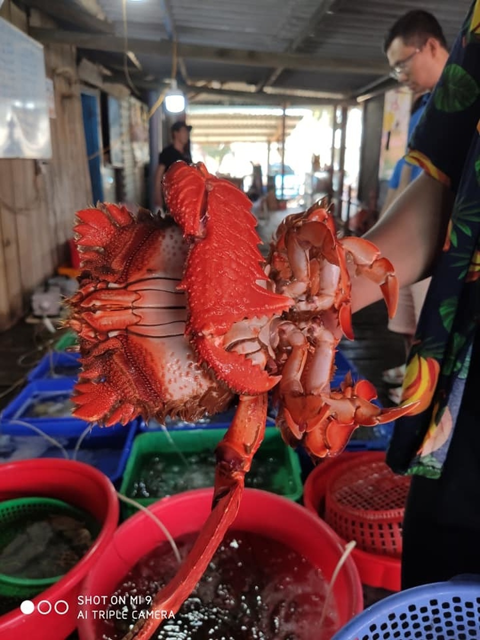 3 ngày “quên lối về” ở thiên đường “hoa vàng trên cỏ xanh” - 10 3 ngày “quên lối về” ở thiên đường “hoa vàng trên cỏ xanh” - 10