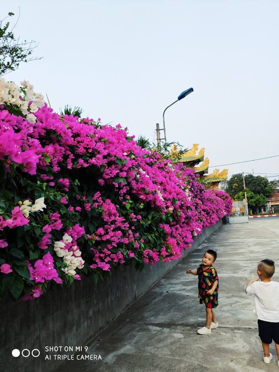 3 ngày “quên lối về” ở thiên đường “hoa vàng trên cỏ xanh” - 3 3 ngày “quên lối về” ở thiên đường “hoa vàng trên cỏ xanh” - 3