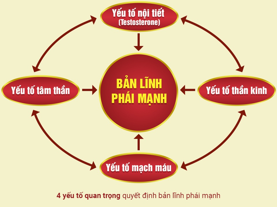 Kdnew – Khơi dậy “bản lĩnh” cho quý ông sung mãn như thời trai trẻ - 1 Kdnew – Khơi dậy “bản lĩnh” cho quý ông sung mãn như thời trai trẻ - 1