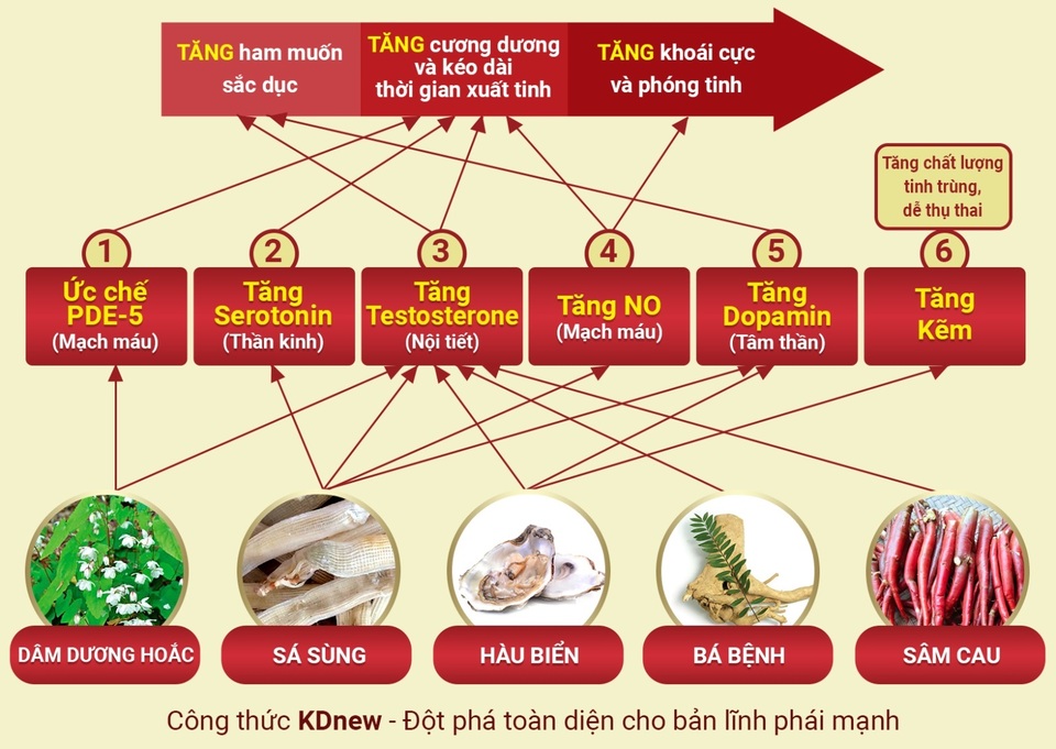 Kdnew – Khơi dậy “bản lĩnh” cho quý ông sung mãn như thời trai trẻ - 2 Kdnew – Khơi dậy “bản lĩnh” cho quý ông sung mãn như thời trai trẻ - 2