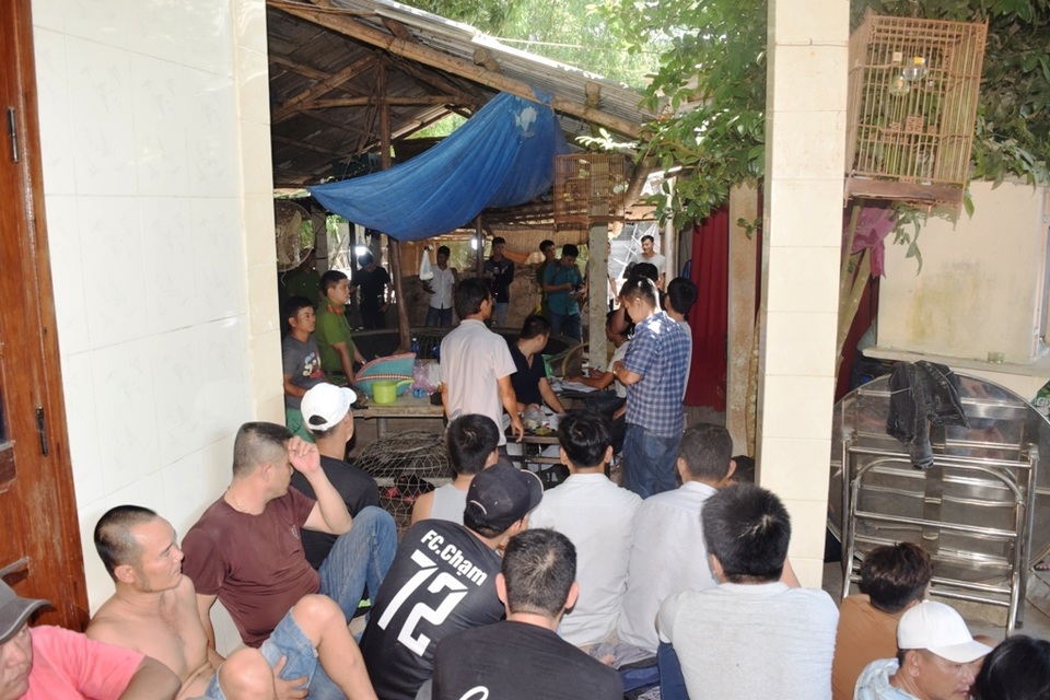 Đánh sập sới gà cá độ lớn tại vùng quê - 3 Đánh sập sới gà cá độ lớn tại vùng quê - 3