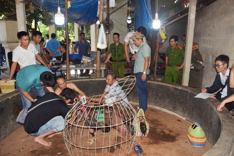 Đánh sập sới gà cá độ lớn tại vùng quê - 1 Đánh sập sới gà cá độ lớn tại vùng quê - 1