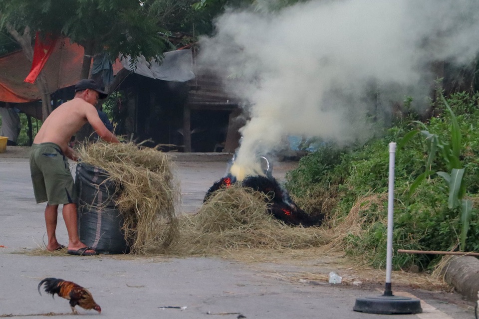 Nhiều tuyến đường ngoại thành Hà Nội mù mịt khói rơm rạ - 12 Nhiều tuyến đường ngoại thành Hà Nội mù mịt khói rơm rạ - 12