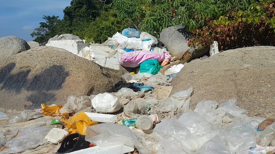 Phú Yên: Vịnh Vũng Rô đang chết dần chết mòn vì rác thải nhựa! - 5 Phú Yên: Vịnh Vũng Rô đang chết dần chết mòn vì rác thải nhựa! - 5