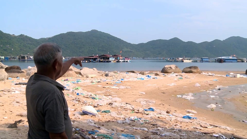 Phú Yên: Vịnh Vũng Rô đang chết dần chết mòn vì rác thải nhựa! - 4 Phú Yên: Vịnh Vũng Rô đang chết dần chết mòn vì rác thải nhựa! - 4