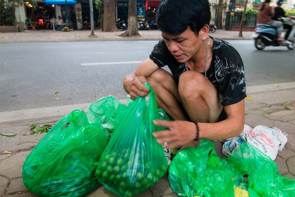 “Người nhện” đu mình trên cây hái sấu non, kiếm bạc triệu ngày - 6 “Người nhện” đu mình trên cây hái sấu non, kiếm bạc triệu ngày - 6