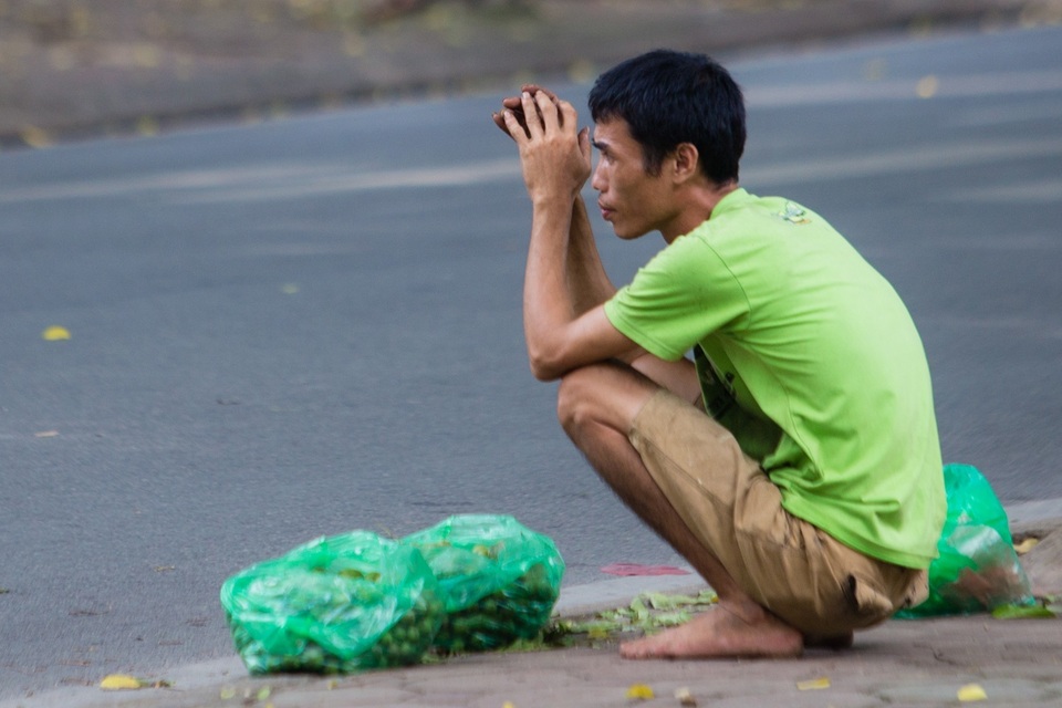 “Người nhện” đu mình trên cây hái sấu non, kiếm bạc triệu ngày - 9 “Người nhện” đu mình trên cây hái sấu non, kiếm bạc triệu ngày - 9
