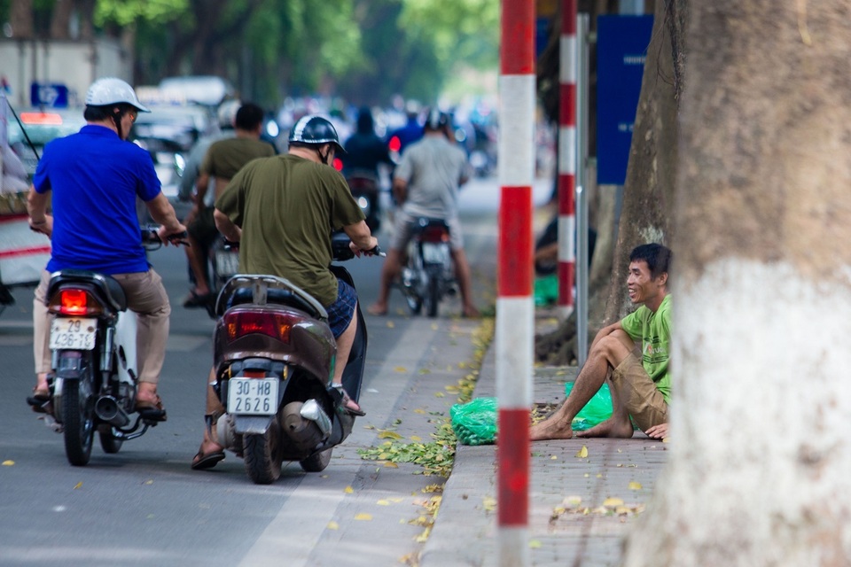 “Người nhện” đu mình trên cây hái sấu non, kiếm bạc triệu ngày - 10 “Người nhện” đu mình trên cây hái sấu non, kiếm bạc triệu ngày - 10