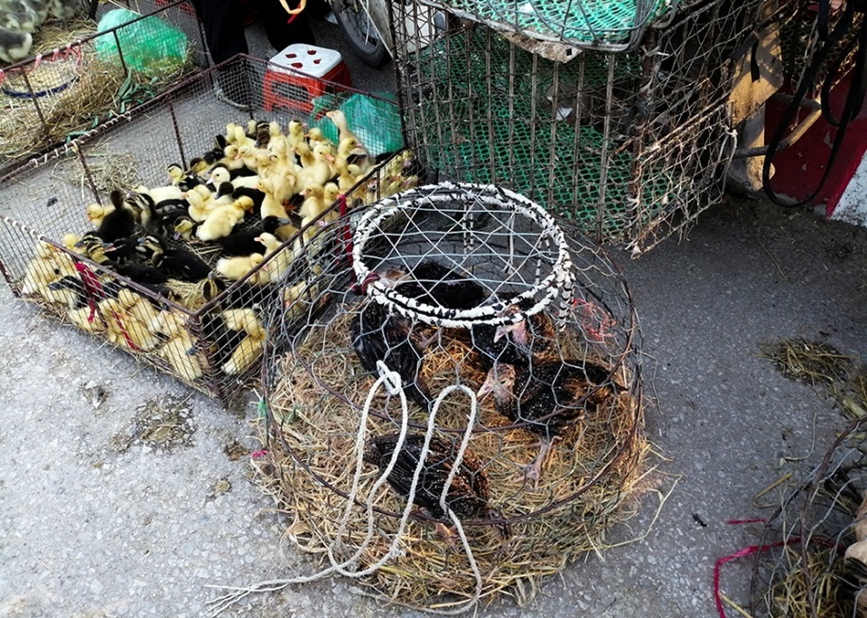 Hà Nội: Cầu tỉnh lộ thành nơi họp chợ, phơi thóc - 4 Hà Nội: Cầu tỉnh lộ thành nơi họp chợ, phơi thóc - 4
