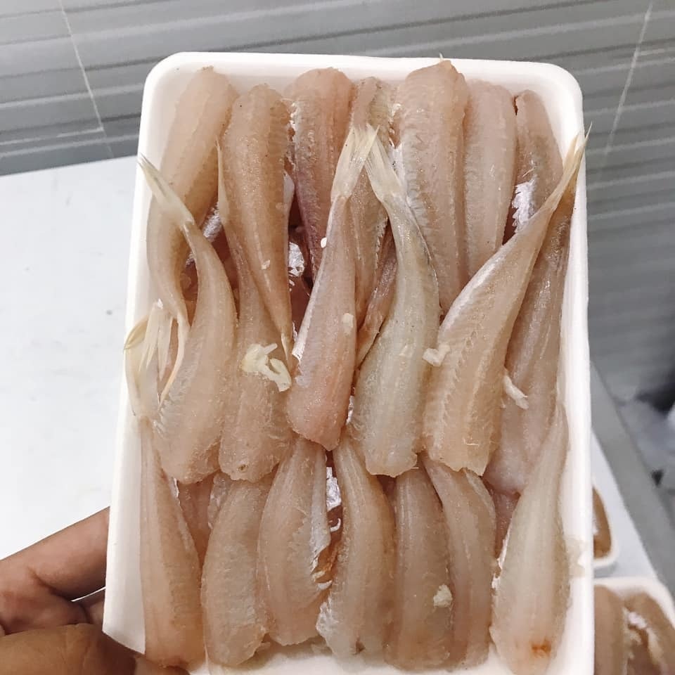 Cá đùi gà thực chất là cá chuồn, không phải cá nóc! - 2 Cá đùi gà thực chất là cá chuồn, không phải cá nóc! - 2