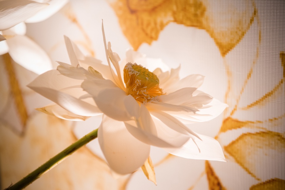 Chồng Tây đắm đuối khoá môi siêu mẫu Phương Mai trong lễ ăn hỏi - 14