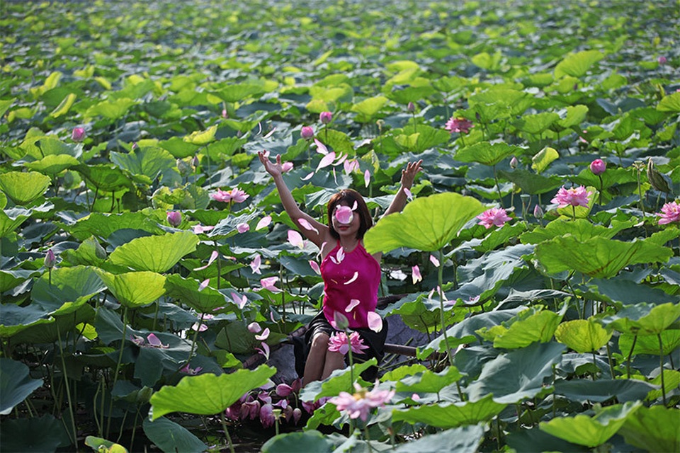 Nắng cháy da, U60 dầm mình dưới đầm sen tạo dáng - 7 Nắng cháy da, U60 dầm mình dưới đầm sen tạo dáng - 7