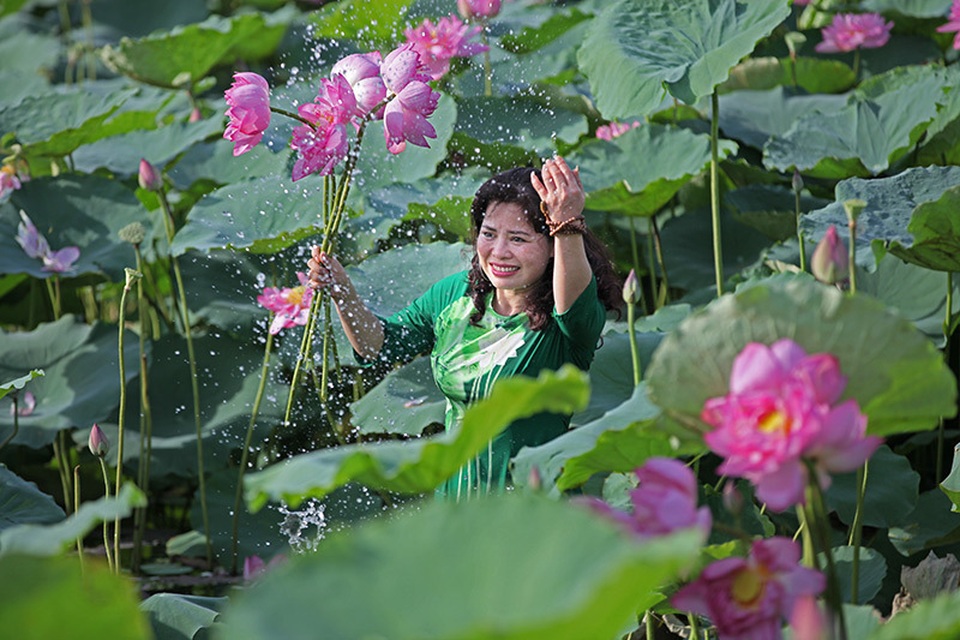 Nắng cháy da, U60 dầm mình dưới đầm sen tạo dáng - 8 Nắng cháy da, U60 dầm mình dưới đầm sen tạo dáng - 8