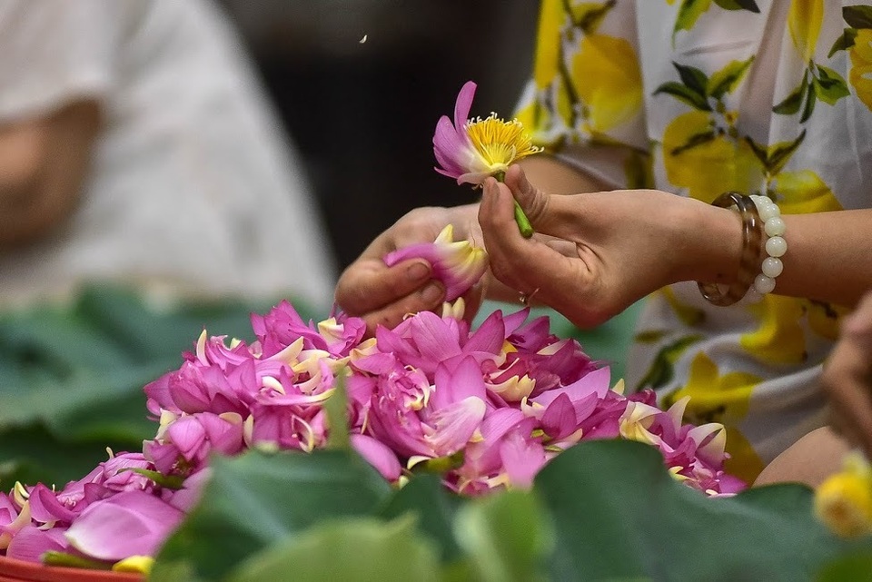 Đệ nhất trà Hà Nội: Làm từ 1000 bông sen, bán giá đắt như vàng - 13 Đệ nhất trà Hà Nội: Làm từ 1000 bông sen, bán giá đắt như vàng - 13