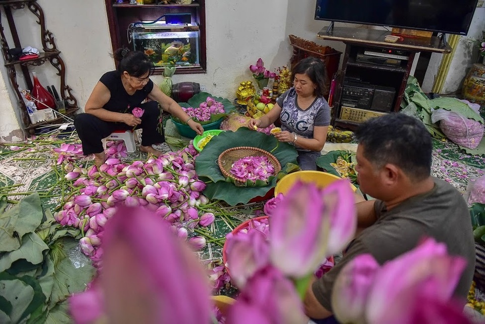 Đệ nhất trà Hà Nội: Làm từ 1000 bông sen, bán giá đắt như vàng - 2 Đệ nhất trà Hà Nội: Làm từ 1000 bông sen, bán giá đắt như vàng - 2