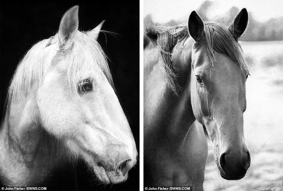 Họa sĩ bị điều tra vì những bức vẽ quá chân thực tới mức bị nghi “lừa đảo” - 3