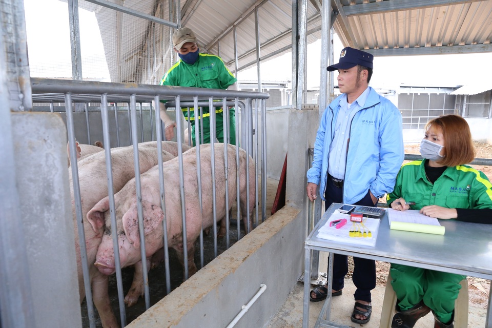Sản phẩm đang “chiếm sóng” thị trường Thủ đô hiện nay: Thịt mát công nghệ Châu Âu - 4 Sản phẩm đang “chiếm sóng” thị trường Thủ đô hiện nay: Thịt mát công nghệ Châu Âu - 4