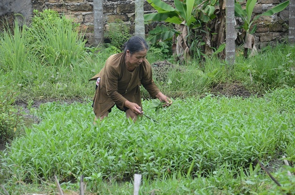 Chuyện lạ: Xót thương người mẹ nghèo đến bất lực không dám nhận 40 triệu đồng - 15 Chuyện lạ: Xót thương người mẹ nghèo đến bất lực không dám nhận 40 triệu đồng - 15