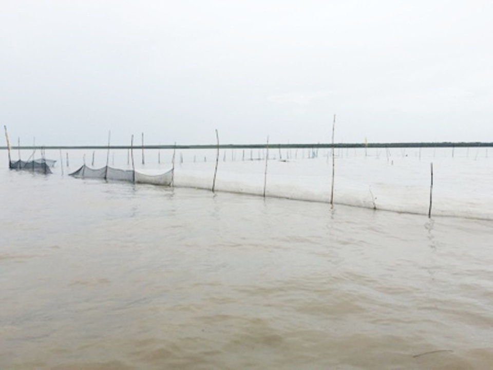 “Lộ” hàng loạt sai phạm tại Vườn Quốc gia Mũi Cà Mau! - 3