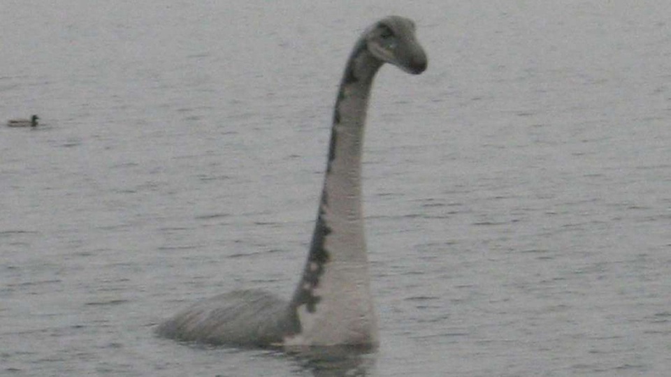Phân tích DNA từ hồ Loch Ness để tìm “quái vật” huyền thoại - 1 Phân tích DNA từ hồ Loch Ness để tìm “quái vật” huyền thoại - 1